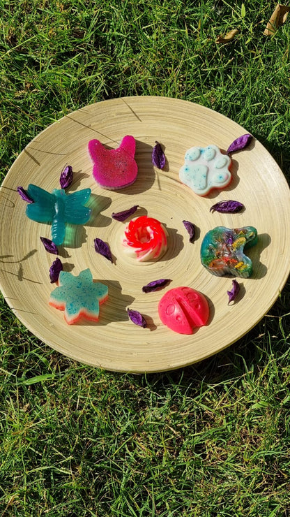 Soap Making Kit